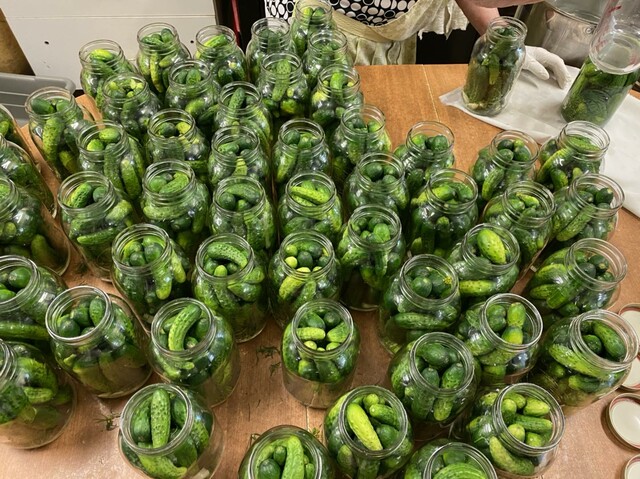 Soon to be homemade garlic pickles.